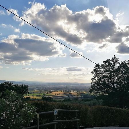 Camere Da Anna Maria Assisi Eksteriør bilde